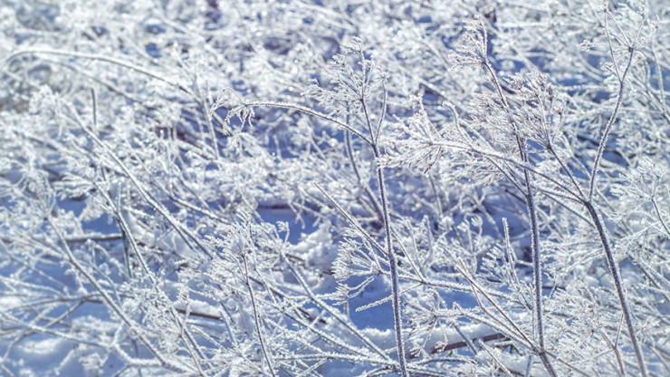 После аномальных морозов в Тверской области резко потеплеет - новости ТИА