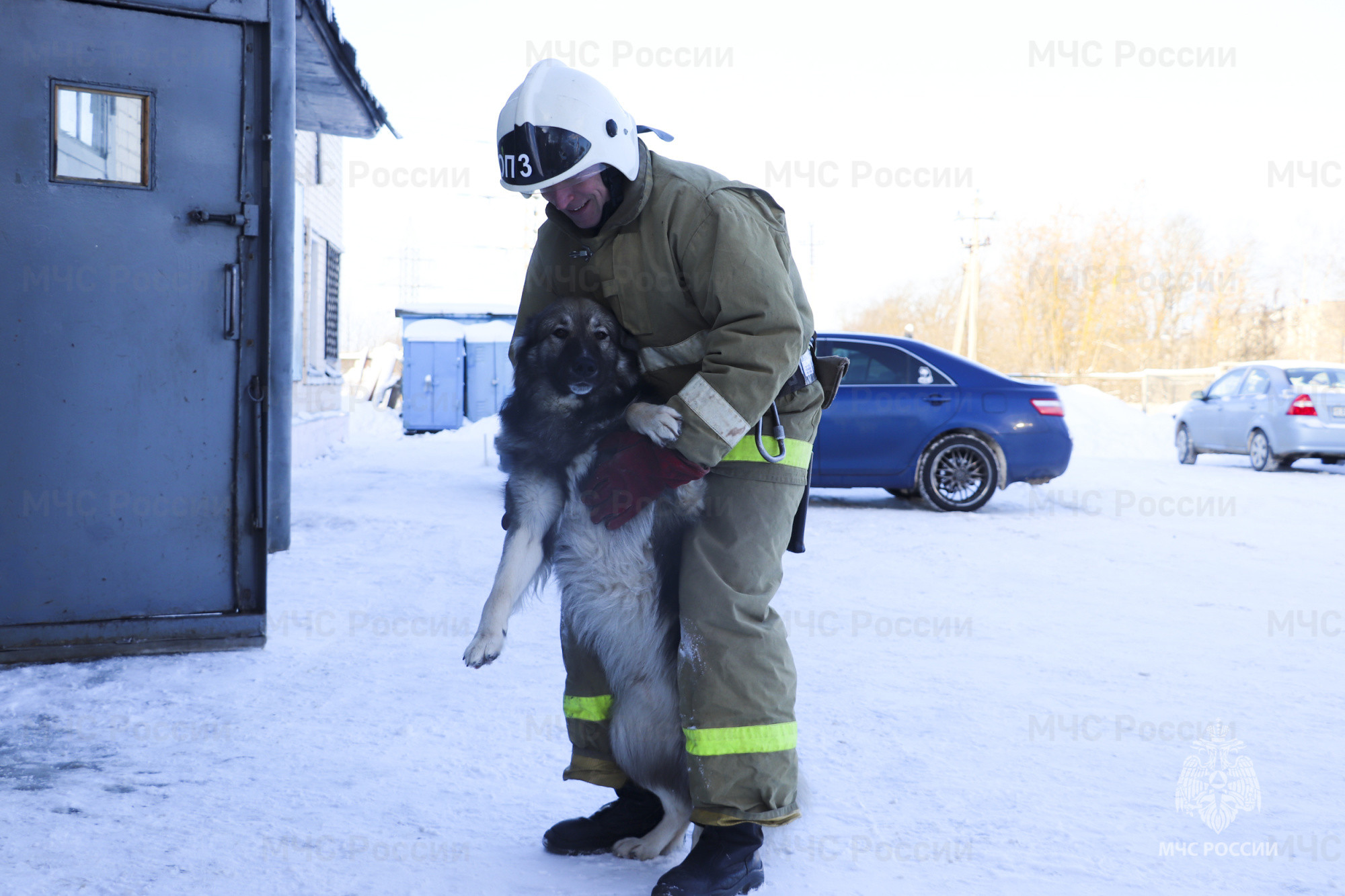 В пожарной части Твери живет пёс Вася, спасенный сотрудниками МЧС |  09.01.2023 | Тверь - БезФормата