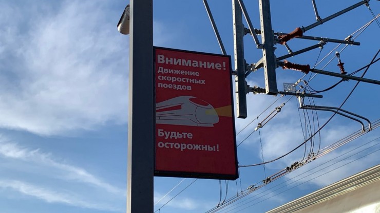 В Тверской области электричка сбила кабана - новости ТИА