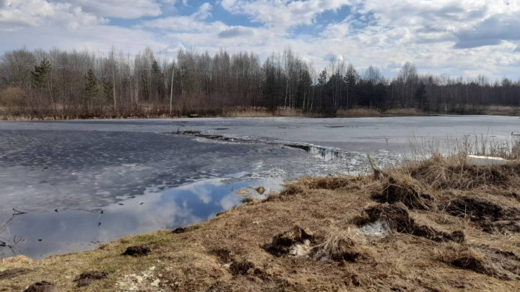 В Тверской области подросток провалился под лёд в пруду и утонул - новости ТИА