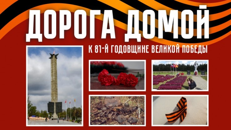 %22Дорога домой%22: как красноармейцы помогают тверским поисковикам найти их - новости ТИА