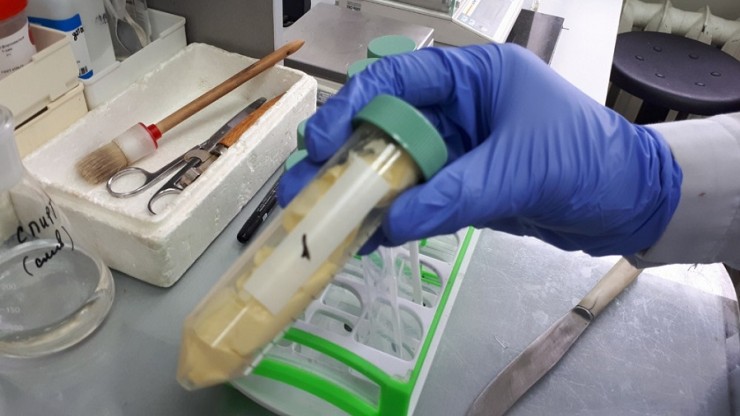 Из Тверской области за рубеж отправят 8000 тонн качественного жира - новости ТИА