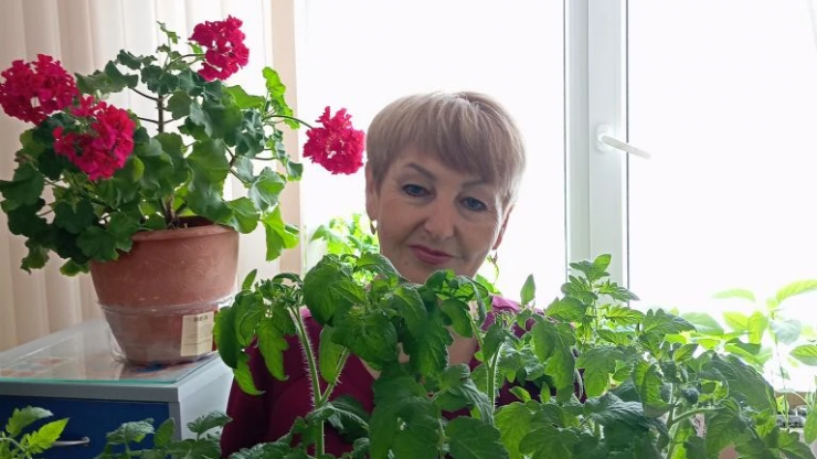 Тверская дачница - о выборе семян, идеальной рассаде и арбузах на картофельном поле - новости ТИА