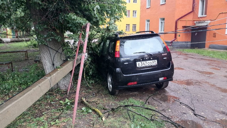 В Тверской области дерево сломало столб, и он упал на автомобиль - новости ТИА