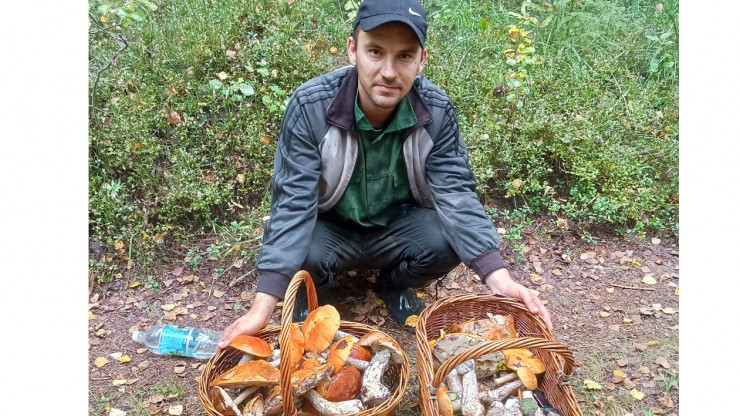 Тверской грибник Сергей Поспелов рассказал, каких грибов сейчас много в лесу - новости ТИА