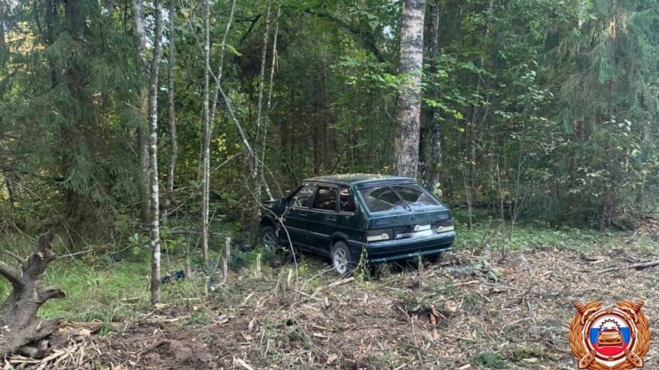 В Тверской области в дорожной аварии погиб 50-летний водитель "Жигулей" - новости ТИА