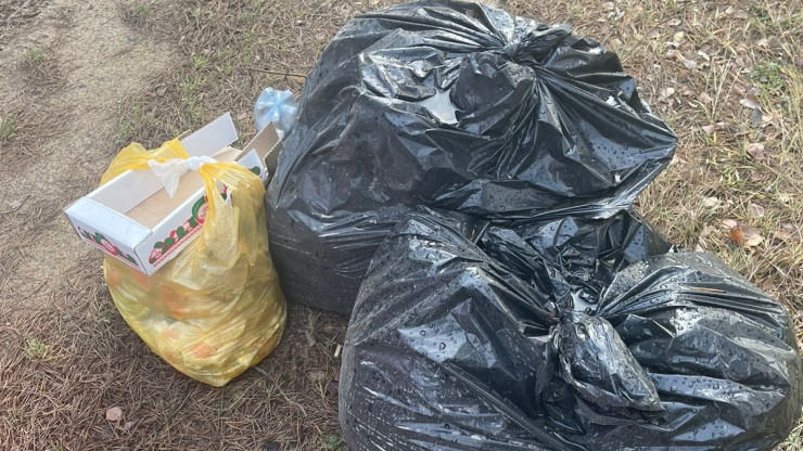 Под Тверью на обочину выкинули мусорные мешки с головами животных - новости ТИА
