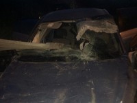 В Тверской области женщина уснула за рулем и улетела в кювет: в аварии пострадал 4-летний ребенок - Новости ТИА