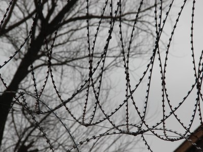 В России трудовых мигрантов предложили заменить заключёнными - Новости ТИА