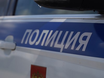 В Тверской области машина врезалась в лося, пострадали три человека - новости ТИА