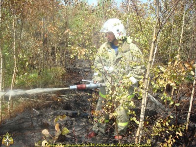 Под Тверью спасатели МЧС тушили ландшафтный пожар - новости ТИА