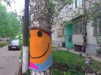 В Конакове деревья одели в свитера - народные новости ТИА