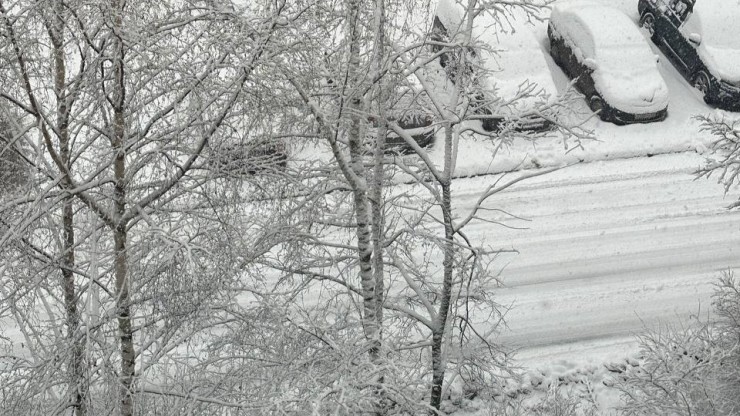 В Тверской области за сутки выпала треть январского снега - новости ТИА