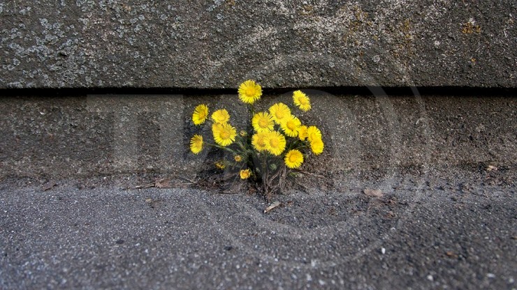 В Тверской области ожидается самый теплый день с начала года - новости ТИА