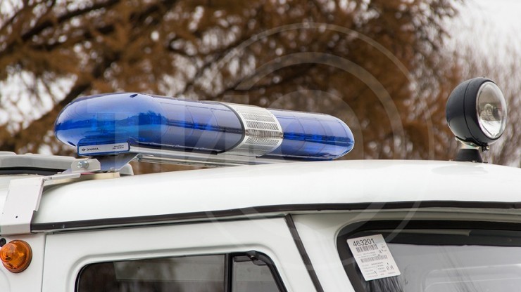 Жительница Тверской области сама "добыла" себе подарок на 8 Марта - новости ТИА