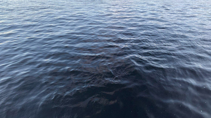 В реке Западная Двина уровень воды на 40 см выше критической отметки - новости ТИА