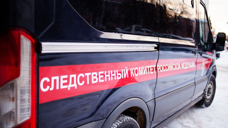 В деревне Тверской области ребенок выпал из окна и погиб - новости ТИА