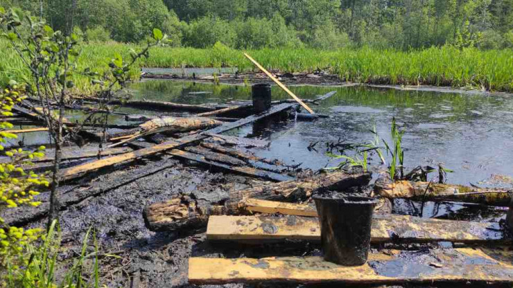 Экобедствие в лесах Тверской области: мазутному болоту уже 60 лет - новости ТИА