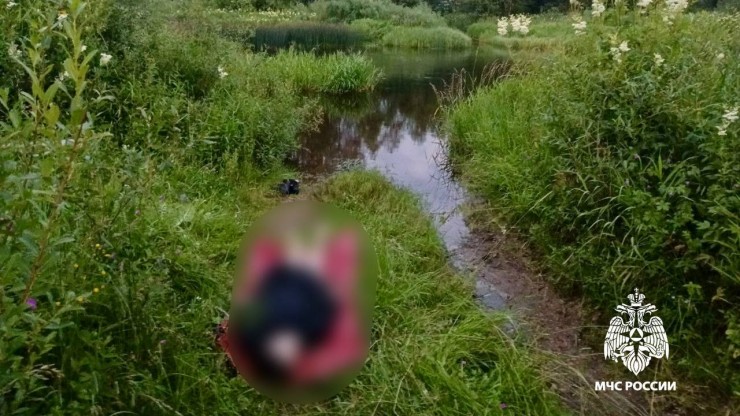 В Тверской области очевидцы достали из реки тело девушки - новости ТИА