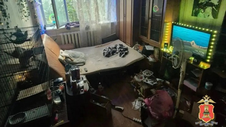 Полицейские не оценили видеоконтент для взрослых от вебкамщицы из Твери - новости ТИА