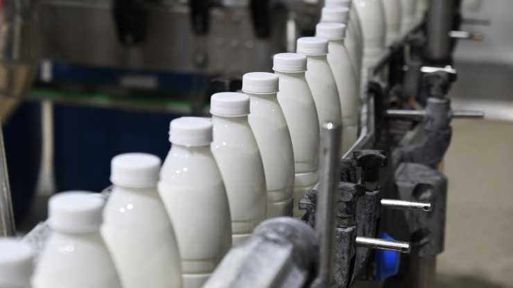 "Ъ": Белоруссия запретила экспорт в Россию молока, мяса курицы и яиц - новости ТИА