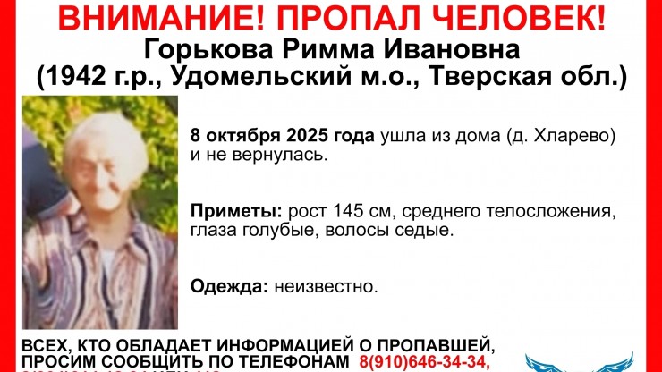 Тверским волонтерам нужна помощь в поисках пропавшей на болоте бабушки - новости ТИА