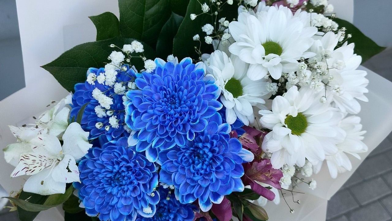 Фото из архива ТИА