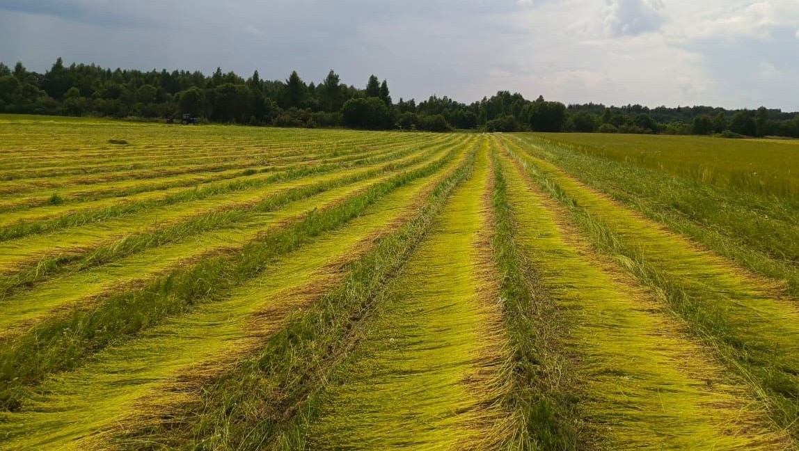 Фото: Минсельхоз Тверской области