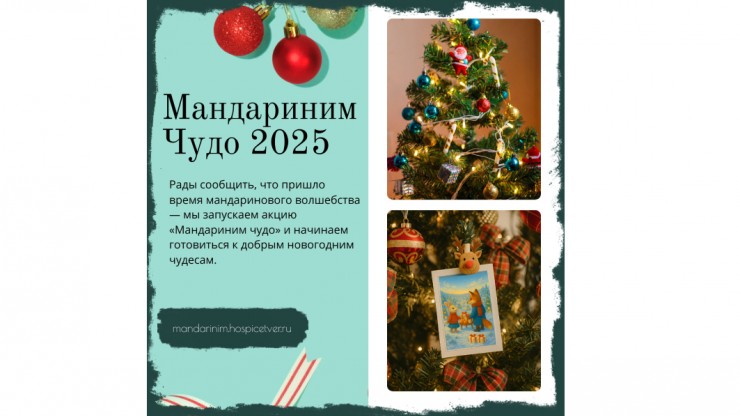 Тверской хоспис "Анастасия" приглашает поддержать новогоднюю акцию "Мандариним чудо" - новости ТИА