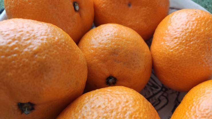 Врач назвала продукт-рекордсмен по содержанию витамина С: им оказался не апельсин - новости ТИА