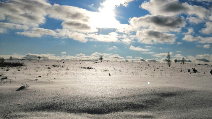 Рекордная среда: Тверь и три города области обновили температурные максимумы - новости ТИА