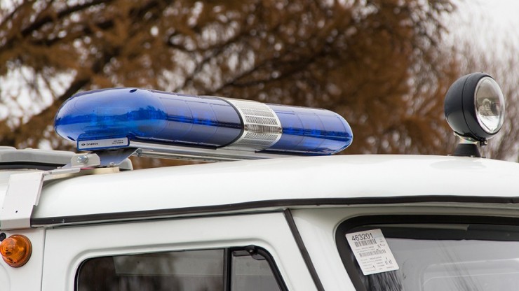 Бдительный сосед не позволит обокрасть участок пенсионерки в Тверской области - новости ТИА