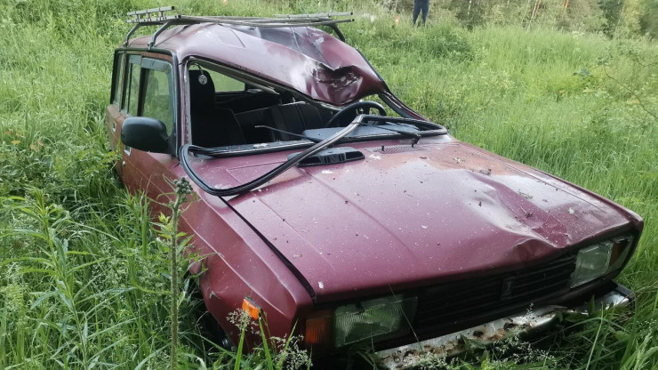 В Тверской области легковушка сбила лося: водитель пострадал, животное погибло - новости ТИА