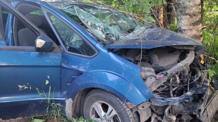 В Тверской области иномарка врезалась в дерево: пострадали водитель и пассажир - новости ТИА
