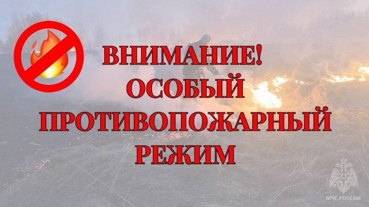 В Тверской области действует особый противопожарный режим - новости ТИА