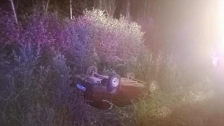 В Тверской области легковушка сбила лося и улетела в кювет - новости ТИА