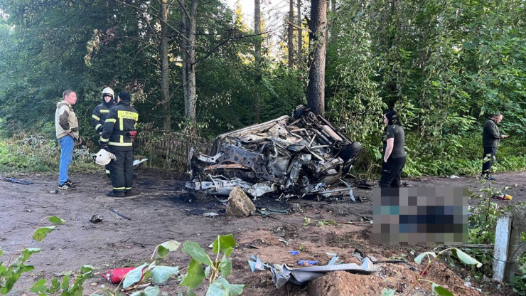 В Тверской области машина врезалась в дерево и загорелась, погибли четыре человека - новости ТИА