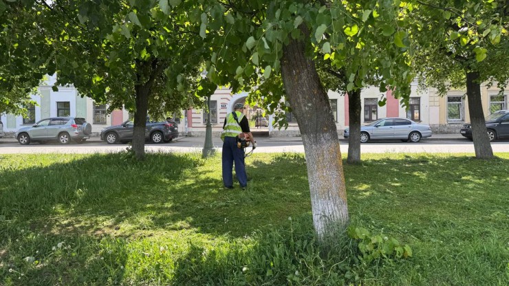 В Твери за неделю скосили 85 тысяч квадратных метров травы - новости ТИА