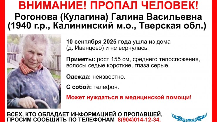 В Тверской области волонтеры ищут пропавшую 85-летнюю женщину - новости ТИА