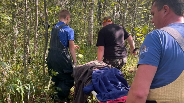Жители Лихославля помогли найти пенсионерку, двое суток выживавшую в лесу - новости ТИА