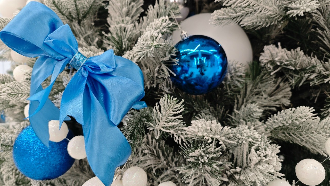 Фото из архива ТИА