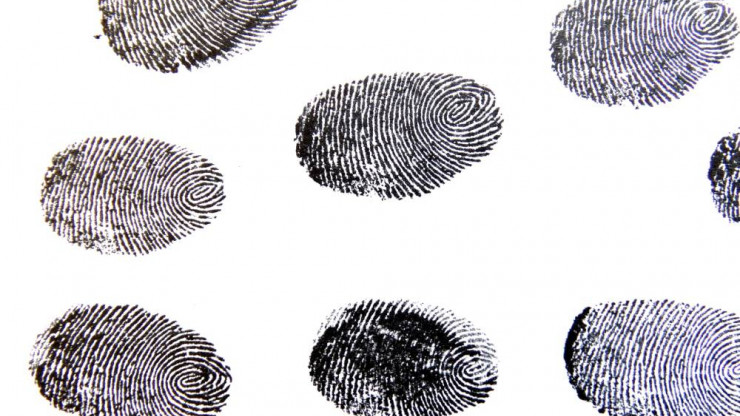 Тверские криминалисты нашли воришку банковской карты по отпечаткам пальцев - новости ТИА