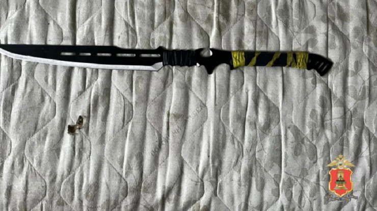 Пьяный житель Тверской области угрожал жене мачете - новости ТИА