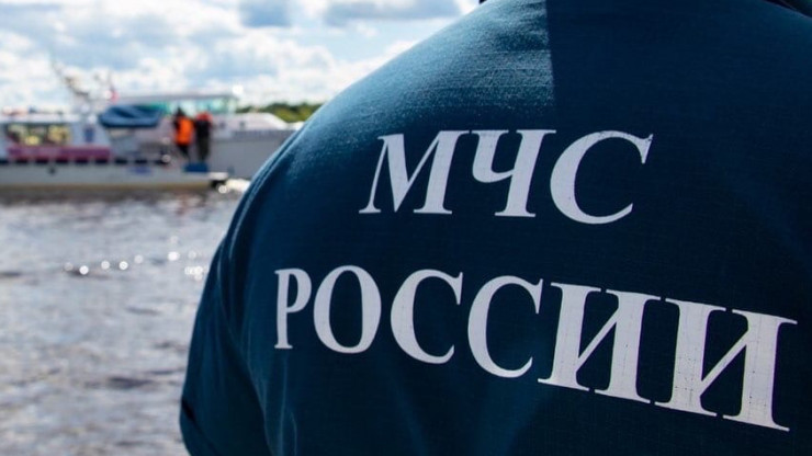 В Тверской области сотрудники МЧС помогли ребёнку, который получил ранение бедра - новости ТИА