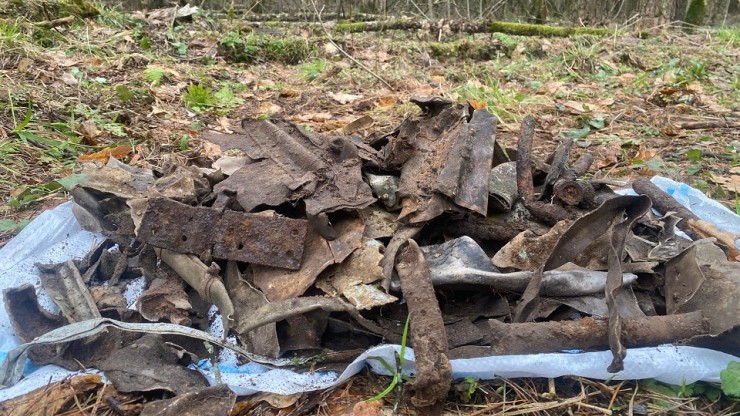 Тверские поисковики обследуют место падения советского самолета - новости ТИА