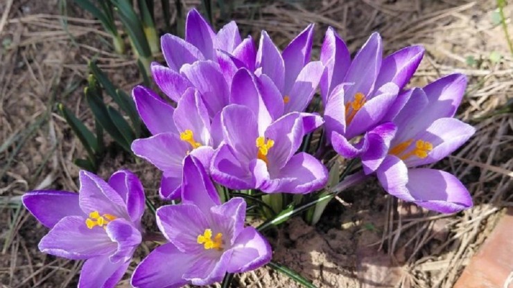 На новой неделе в Тверскую область придут дожди и тепло - новости ТИА