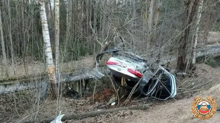 В Тверской области автомобиль улетел в канаву, есть пострадавшие - новости ТИА