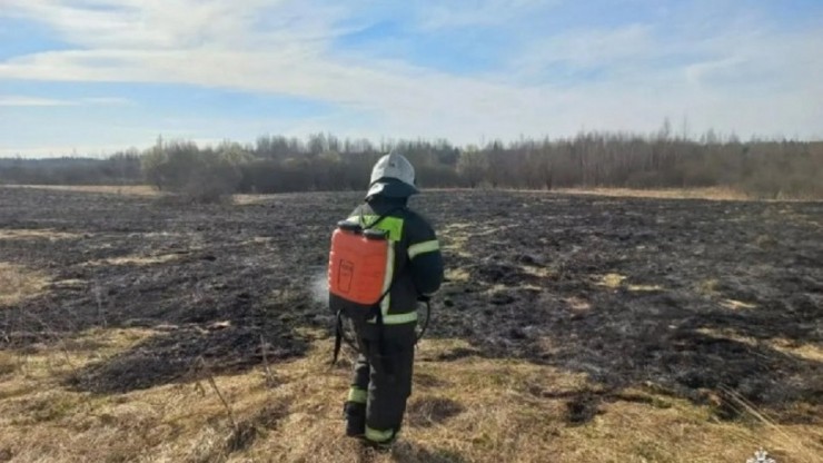 В тверском МЧС пояснили, как правильно сжигать траву и мусор - новости ТИА