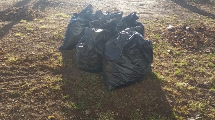 В Тверской области владельца земли оштрафовали за свалки на полях - новости ТИА