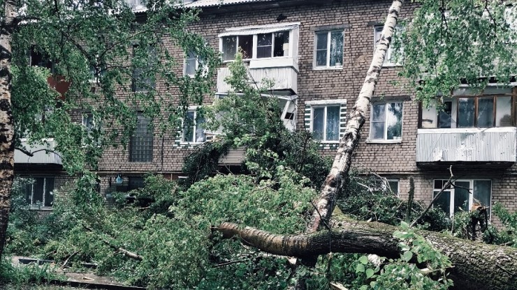 В Твери во время урагана вывернутые с корнем деревья ломали столбы и балконы - новости ТИА